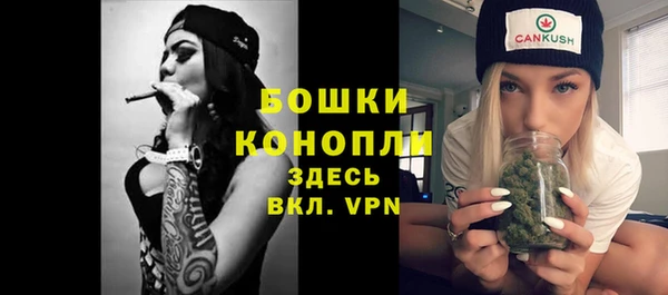 спиды Елизово