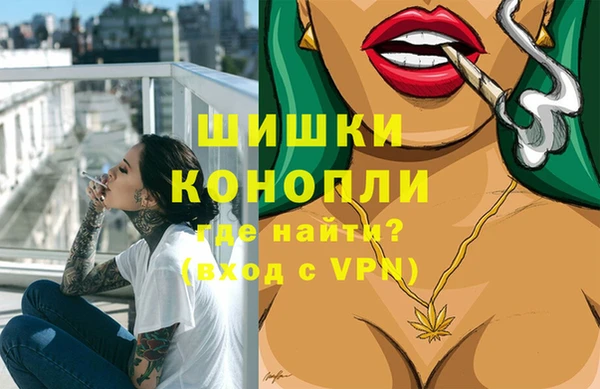 спиды Елизово