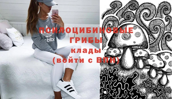 спиды Елизово
