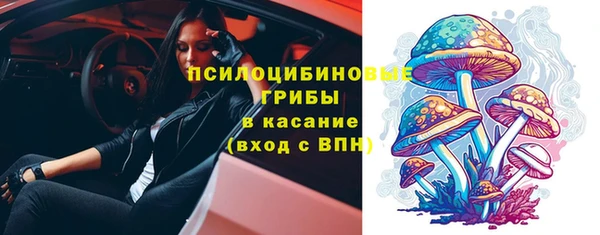 спиды Елизово